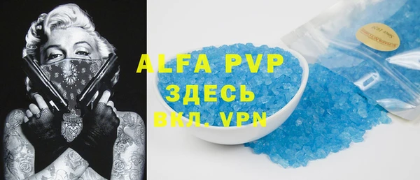 индика Алексин