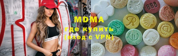 индика Алексин