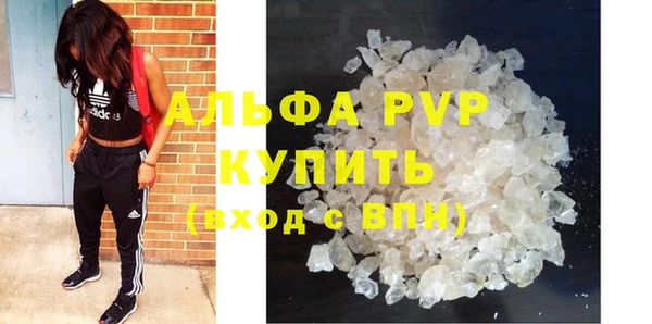индика Алексин