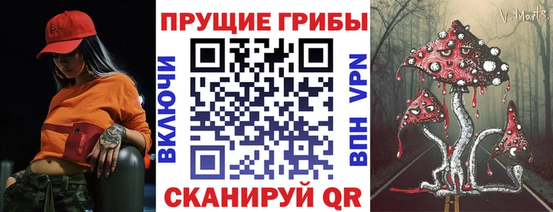 Псилоцибиновые грибы ЛСД  что такое   Бабушкин 